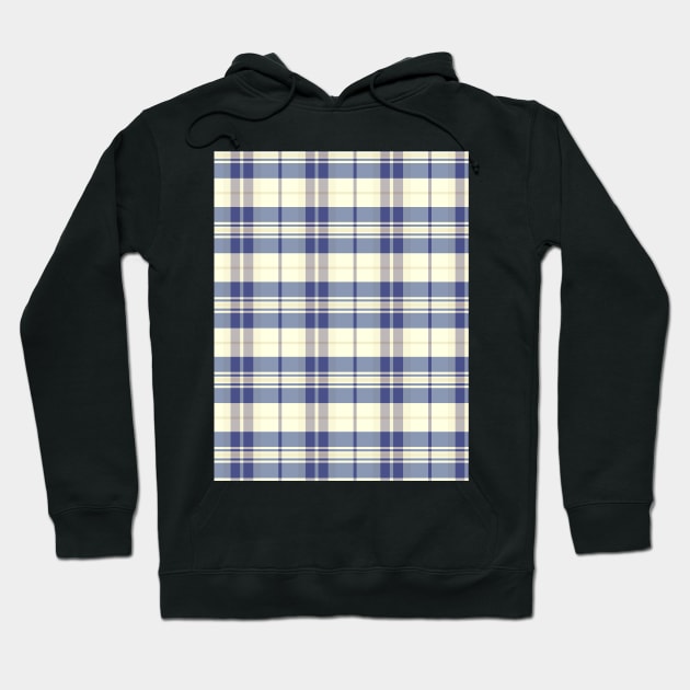 Sunset and Sunrise Aesthetic Arable 2 Hand Drawn Textured Plaid Pattern Hoodie by GenAumonier